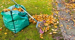 Leaves raking