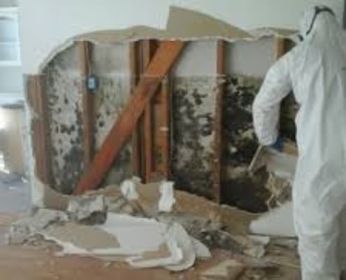 mold inspection on wall with drywall ripped off